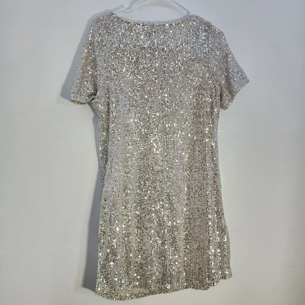 7 For All Mankind Small Silver Sequin Dress - Picture 6 of 9